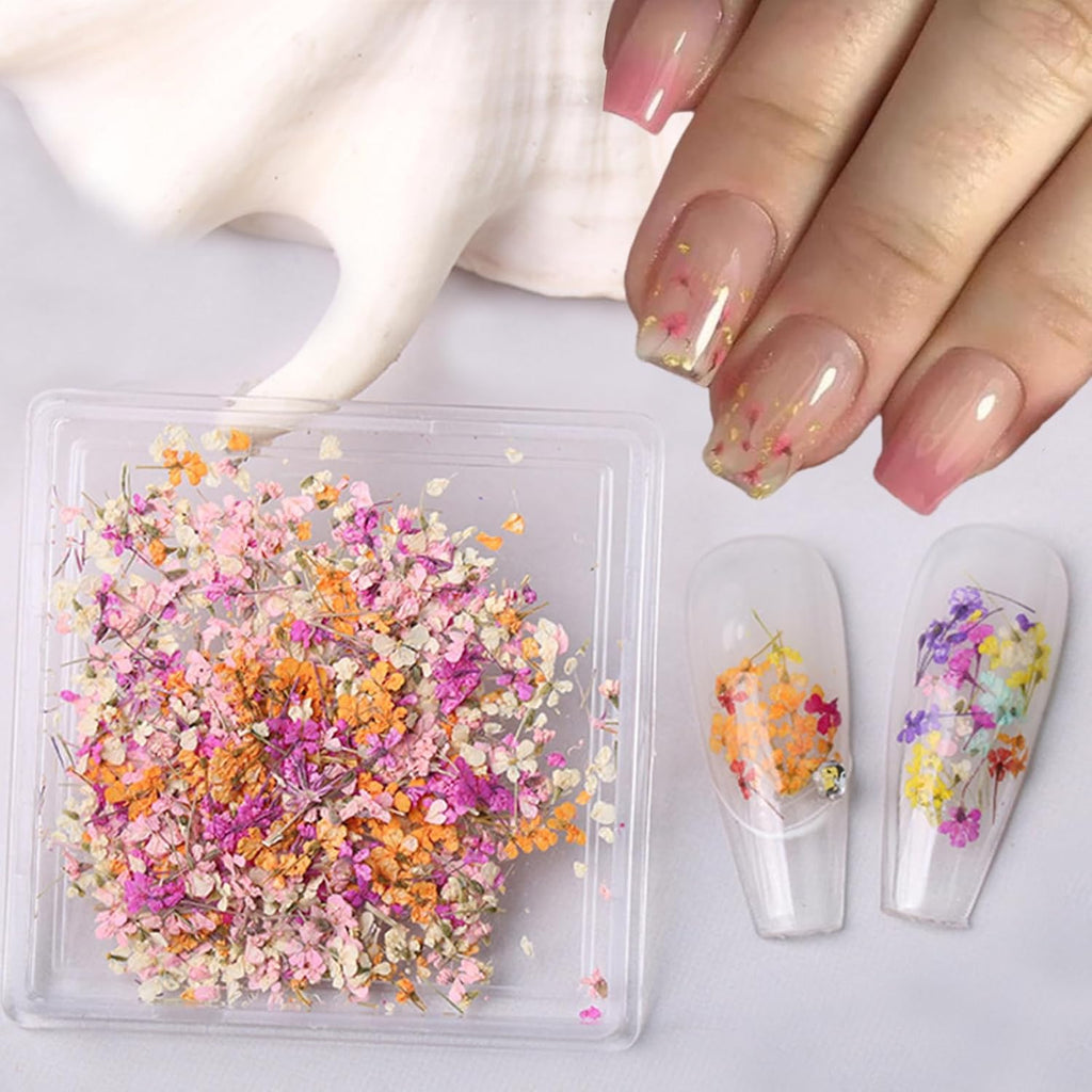 1 Boxes Dried Flowers for Nail Art,Colorful Dry Flowers Mini Real Natural Flowers Nail Stickers DIY Mini Mix Flower Petals Nail Art Supplies for Summer Acrylic Nails Design Manicure Accessories